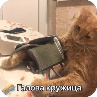 Стикер Больше стиков тут: @stikery4 - 11