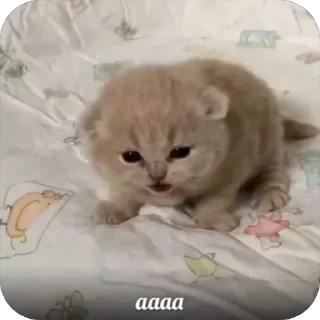 Стикер Больше стиков тут: @stikery4 - 1