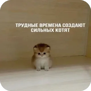 Стикер Больше стиков тут: @stikery4 - 2