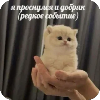 Стикер Больше стиков тут: @stikery4 - 9