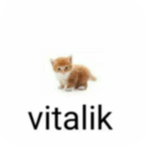 @stiki_tg_nah_canal - 