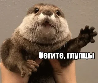 Sticker Задолбали - 9