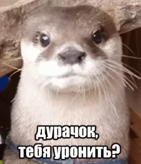 Sticker Задолбали - 5