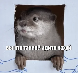 Sticker Задолбали - 6