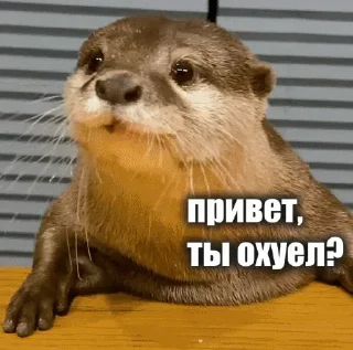 Sticker Задолбали - 10