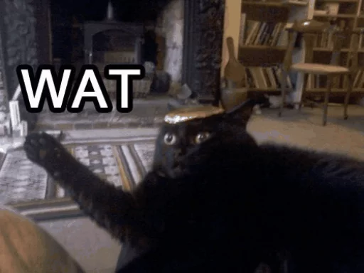 cat indoor furniture