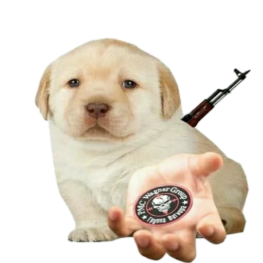 Стикер Джамбо и друзья из ЧВК - 8