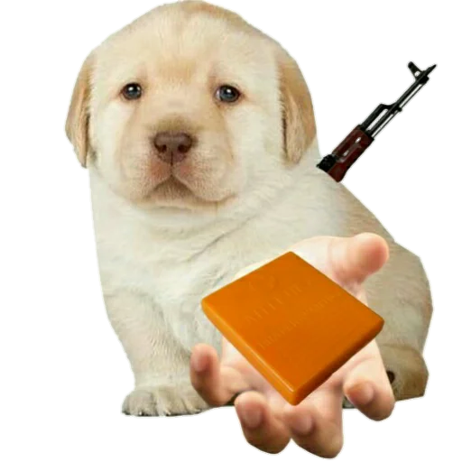 Стикер Джамбо и друзья из ЧВК - 5