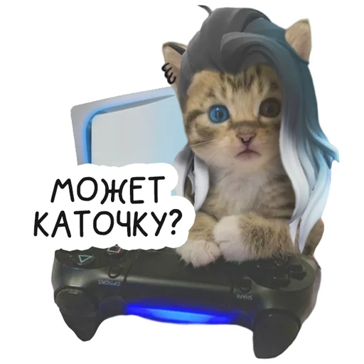 Sticker VALORANT_Universitycat - 1