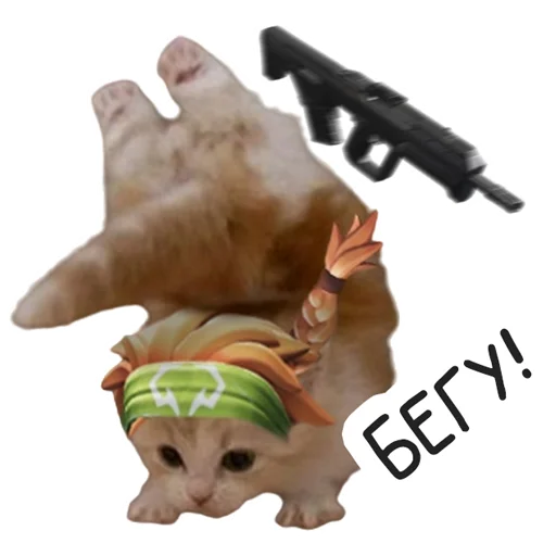 Sticker VALORANT_Universitycat - 1