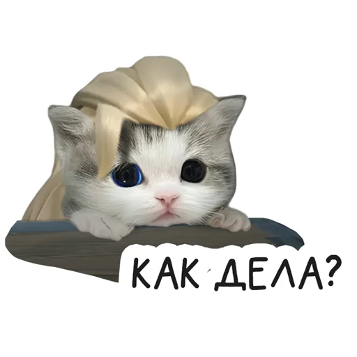 Sticker VALORANT_Universitycat - 1