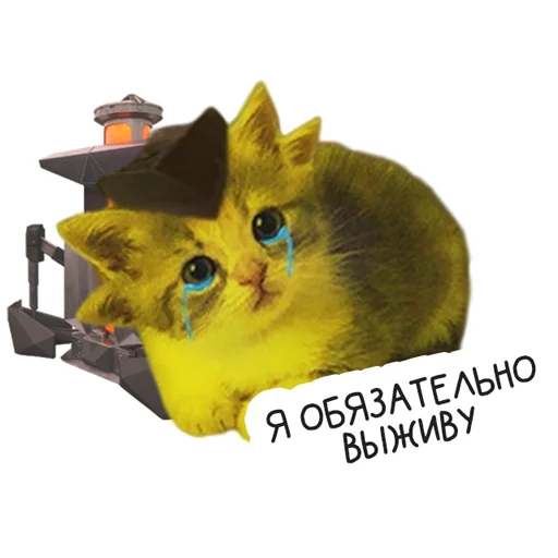 Стикер VALORANT_Universitycat - 1