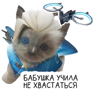 Sticker VALORANT | @VALORANT_University - 5