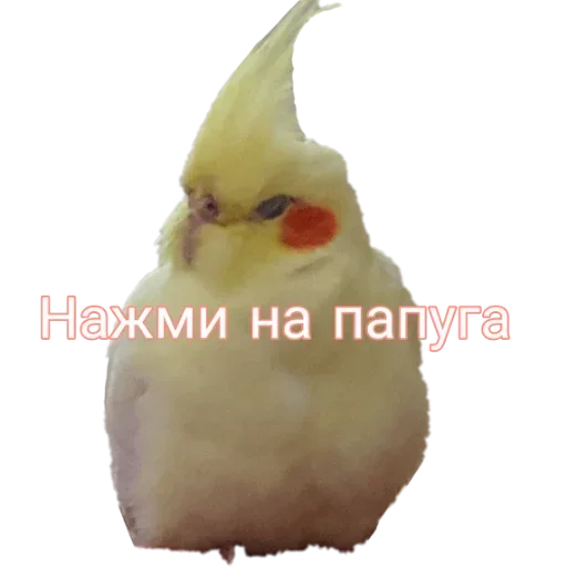 Стикер Стики 6587 из @Anonymnyi_chat_bot - 10