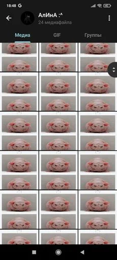 Избранные • @sticbot - 