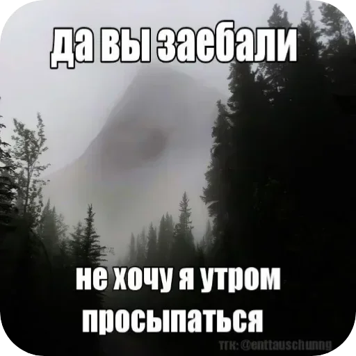 Sticker VEAvzbB_by_achestickbot - 1