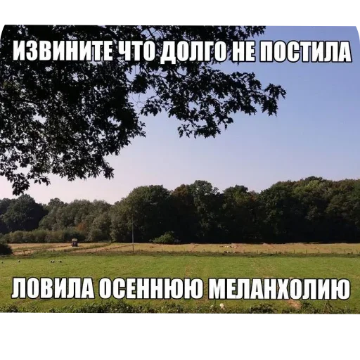 Sticker VEAvzbB_by_achestickbot - 1