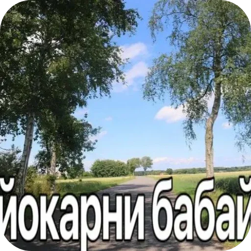 Стикер VEAvzbB_by_achestickbot - 1