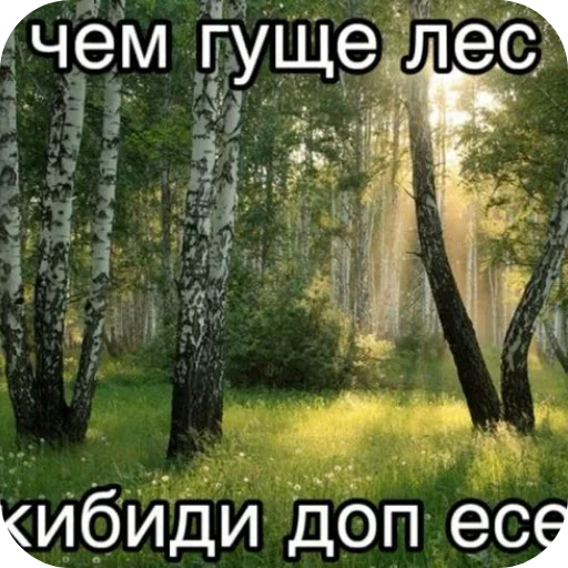 Sticker VEAvzbB_by_achestickbot - 1