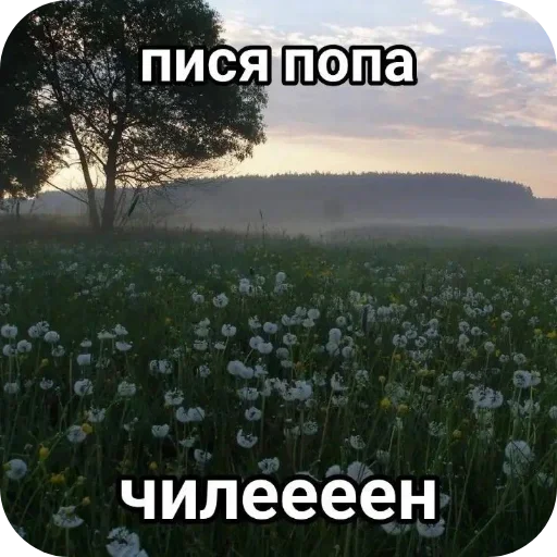 Sticker VEAvzbB_by_achestickbot - 1