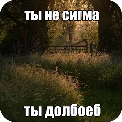 Sticker VEAvzbB_by_achestickbot - 1