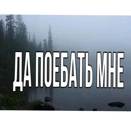 Sticker VEAvzbB_by_achestickbot - 1