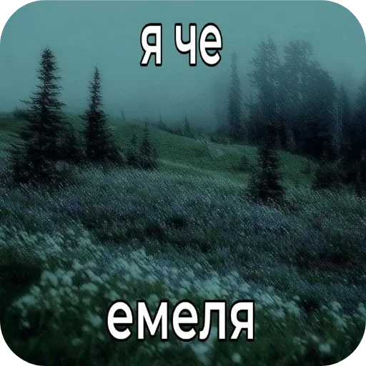 Sticker VEAvzbB_by_achestickbot - 1