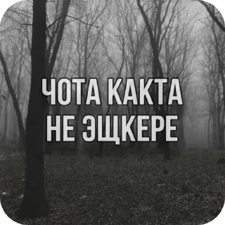 Sticker Больше стиков тут: @stikery4 - 1