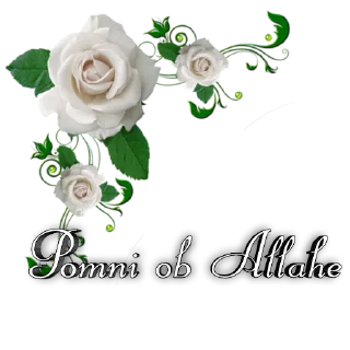 Стикер @VERNIE_STOYKIE - 6