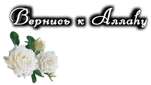 Sticker VERNIE_STOYKIE - 1