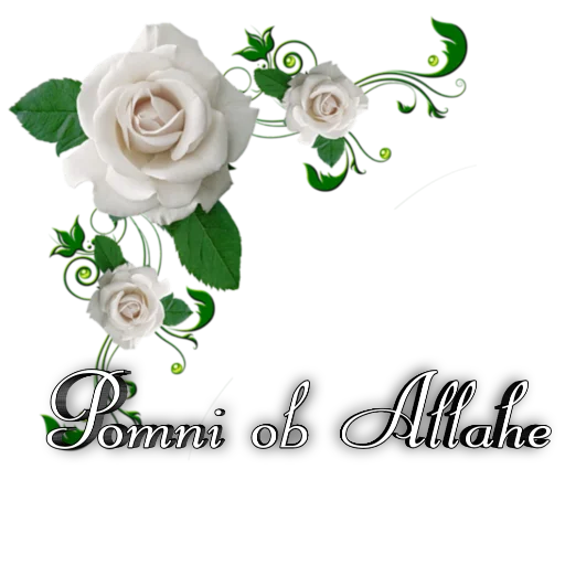 Sticker VERNIE_STOYKIE - 1