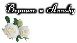 Стикер @VERNIE_STOYKIE - 11