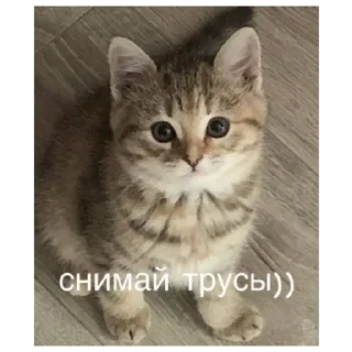 Sticker Стикеры тут: @stikeryv - 11