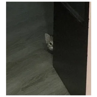 Sticker Стикеры тут: @stikeryv - 8