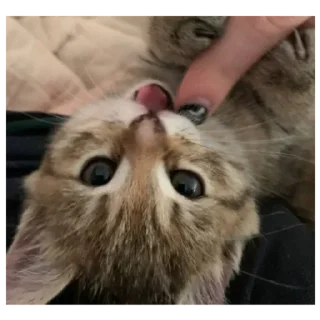 Sticker Стикеры тут: @stikeryv - 2