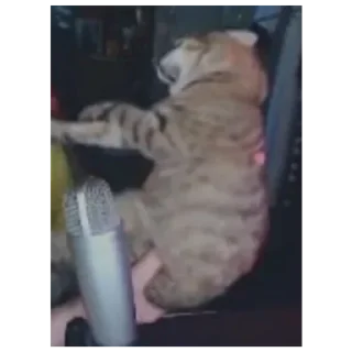 Sticker Стикеры тут: @stikeryv - 4