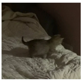 Sticker Стикеры тут: @stikeryv - 7