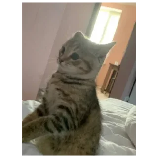 Sticker Стикеры тут: @stikeryv - 0