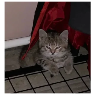 Sticker Стикеры тут: @stikeryv - 9