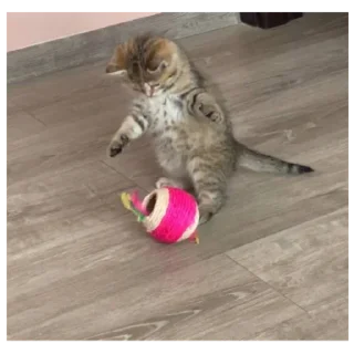 Sticker Стикеры тут: @stikeryv - 6