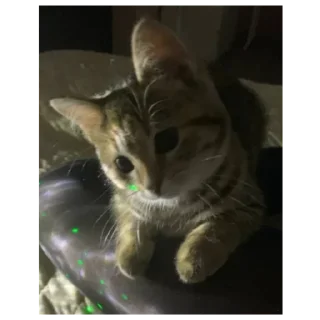 Sticker Стикеры тут: @stikeryv - 5