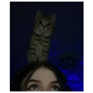 Sticker Стикеры тут: @stikeryv - 3