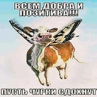 Sticker егор пагром • @sticbot - 9