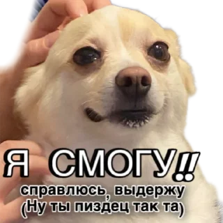 Sticker VIBE STUDIO - 11