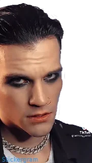 Стикер Voron - 10