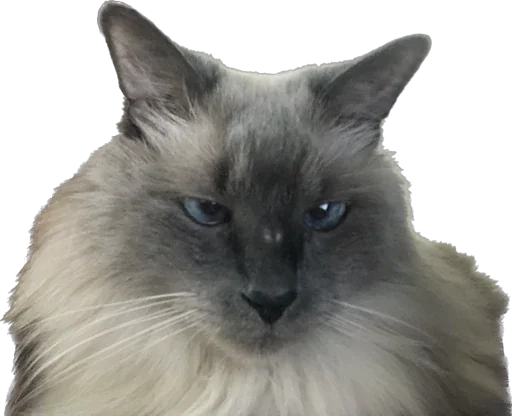 Стикер VITASIKKK - 1