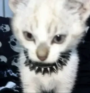 Sticker @stikerk877 - 5