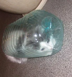 Sticker Фотки :) и картинки @VK2010_archive - 9