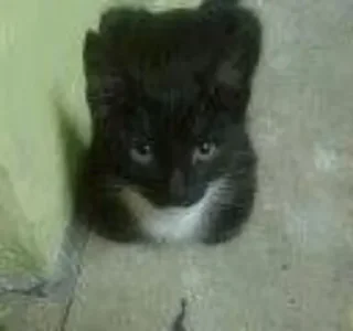 Sticker Фотки :) и картинки @VK2010_archive - 7