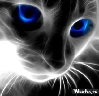 Sticker Фотки :) и картинки @VK2010_archive - 5